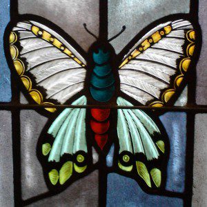 Butterfly stained glass window St Marks Lutheran Church downtown Asheville NC